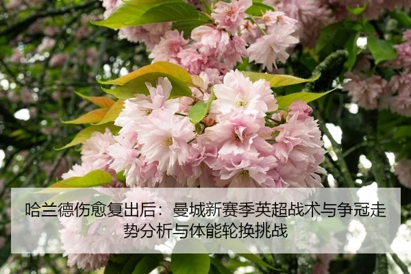 哈兰德伤愈复出后：曼城新赛季英超战术与争冠走势分析与体能轮换挑战